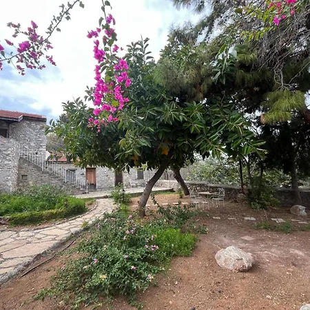 Zeytin Apartamento Datça