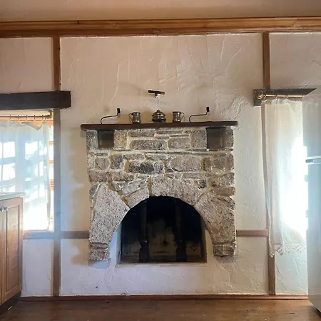 Zeytin 公寓 达特恰