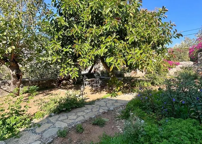 Apartamento Zeytin *