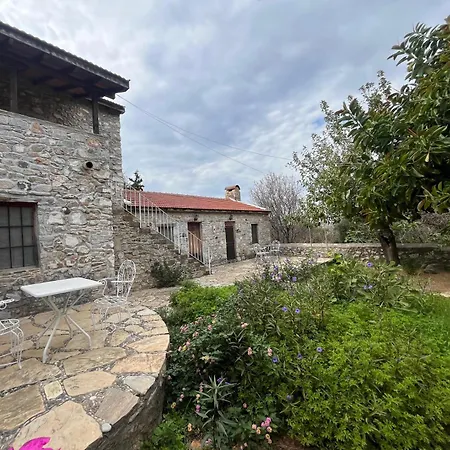 Zeytin