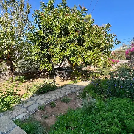 Appartement Zeytin *