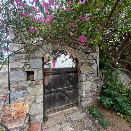 Zeytin Datca