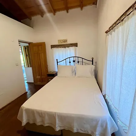 Apartament Zeytin