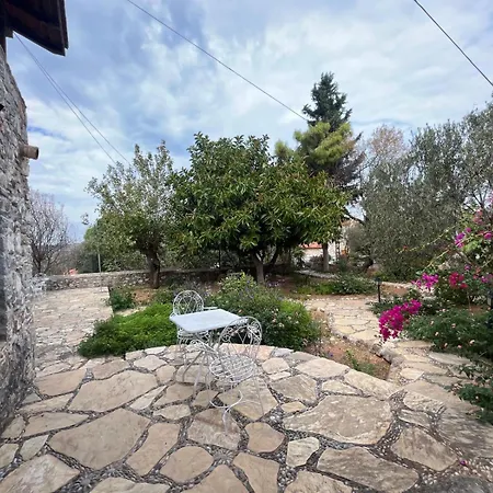 Appartement Zeytin *