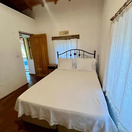 Apartman Zeytin *