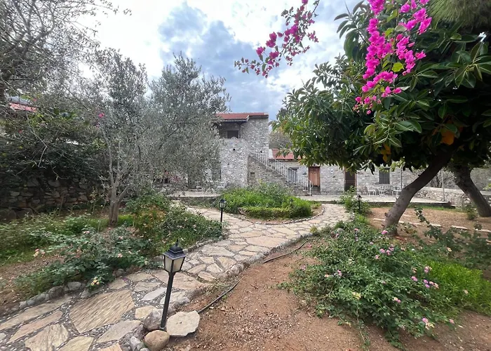 Apartmán Zeytin Datça